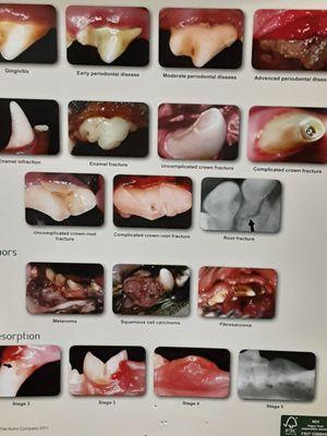 Check your pincers here.