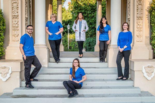 Your Dental Team