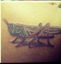 My locust tattoo. #wizzdidit