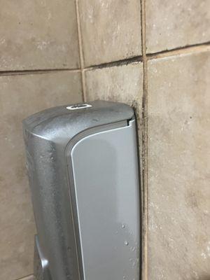 Mold in shower