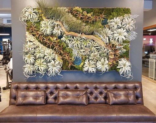 Living air plant wall. Design, fabrication, installation, maintenance provided by Articulture Designs