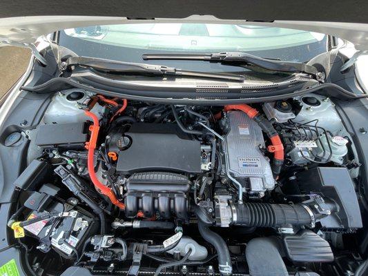 clean engine bay!