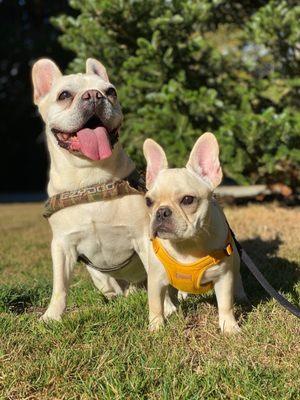 Tobias 12 years old, Maeby 5 months old