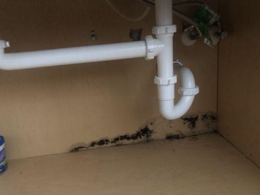 Under sink plumbing and mildew caused by leak.