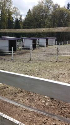 We currently have 4 paddocks available