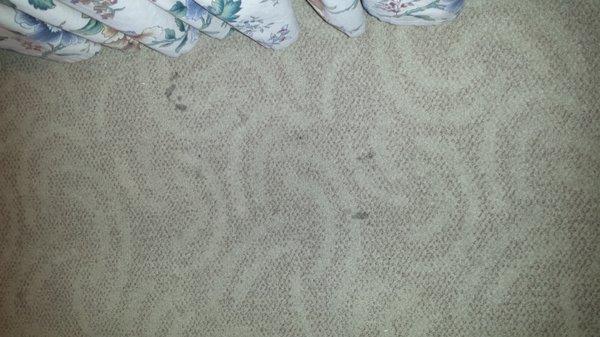 One of several clusters of spotted areas on rug in room