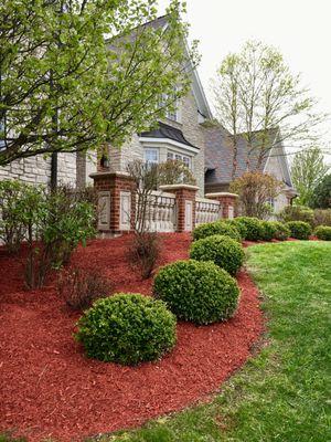 Red Mulch Landscape