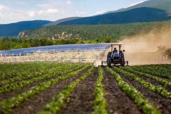 We are experts in solar well pumps, barn lighting, watering systems and whatever else you need for your farming or ranching operation.