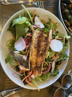 Salmon tossed salad