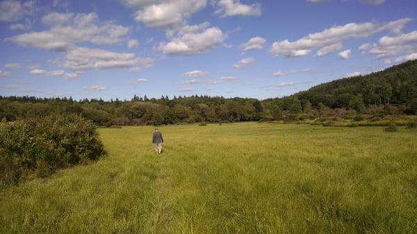 Gorgeous exit from end of one trail past zip line, goes past another pond leading to side road. Long walk, but worth it!