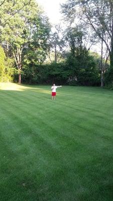 Green Lawn Fertilizing