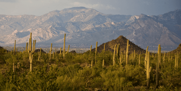 Emergency Dental Tucson