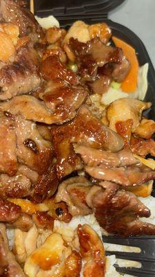 Beef and Chicken Teriyaki