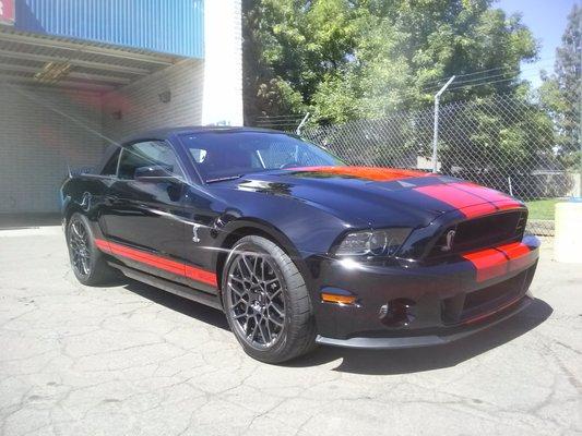 2013 Shelby convertable