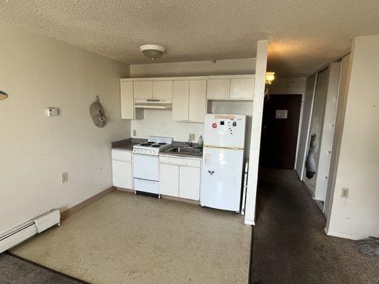 Scrubbed the kitchen floor, oven, refrigerator, etc.