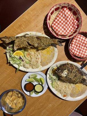 Bagre and Tilapia Mojarra Al Mojo.