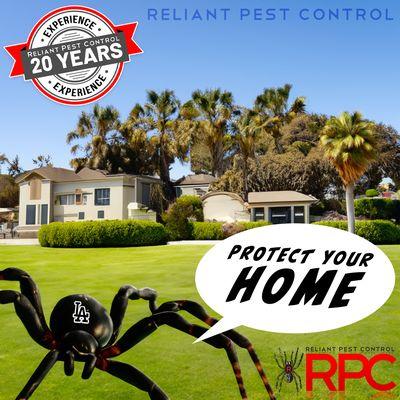 Protect your home from pests, rodents, bugs and spiders with Reliant Pest Control!