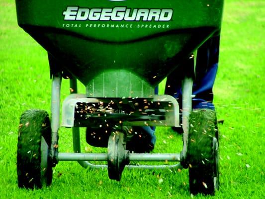 Lawn Seeding Service Overland Park