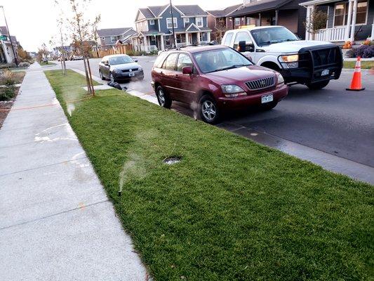 Sprinkler winterization and blow out