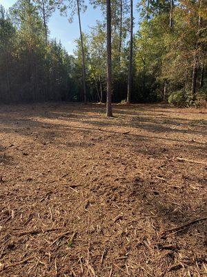 Cleaned up area behind customers pond