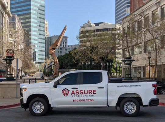 Servicing the greater bay area, visit us at assurepestcontrol.com for a list of areas we service.