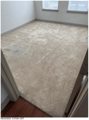 It was determined that the whole carpet needed to be replaced and I was charged for the replacement.