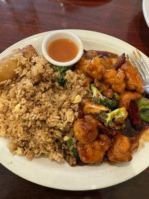 G11. L26. General Tsos Chicken Lunch Special