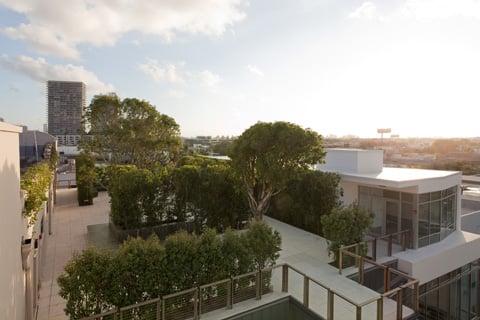 The Rooftop Garden