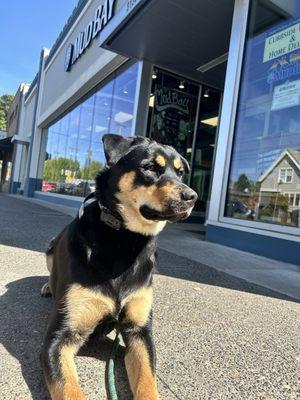 Another fun Mud Bay trip for treats with Chupa