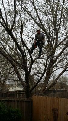 Donnie with Alfred's Superior Tree Service