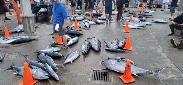 Fish That we caught on a three day fishing trip with the spirit of adventure