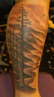 Redwoods.. Done by Tom Harley