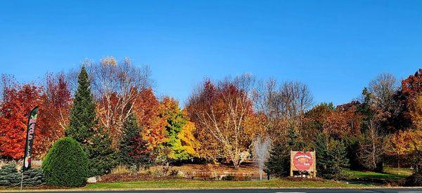 View from the street (Wyoming Trail/ CR 22