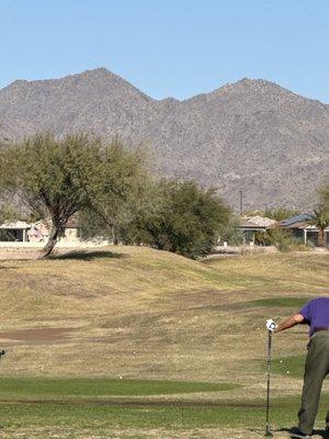 Dead grass at driving range