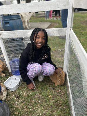 Petting zoo