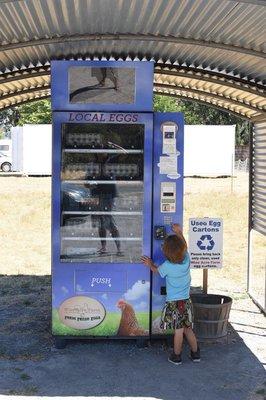 Here is the super awesome high tech egg vending machine open 24/7