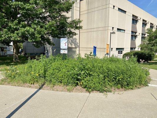 Butterfly Station outside the building