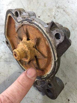 bad water pump... from not taking care of the cooling system