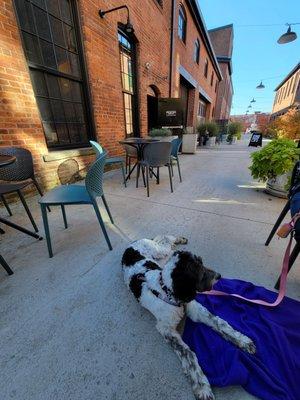 dog friendly patio