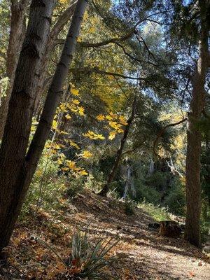 Stoddard Canyon Falls