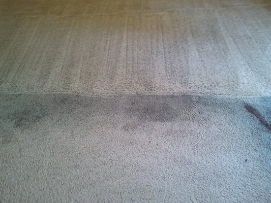 knoxville carpet cleaners