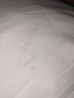 Unwashed pillowcase