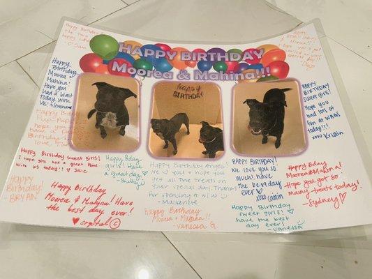 My fur babies' birthday card