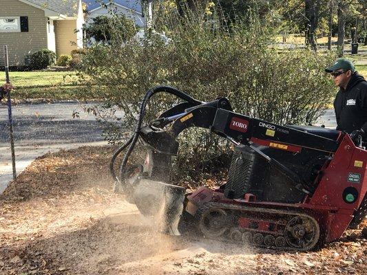 Stump grinding services