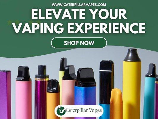 3_Caterpillar Vapes (71st Street)_Elevate Your Vaping Experience.jpg