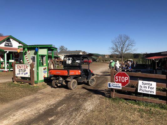 Berry's Christmas Tree Farm