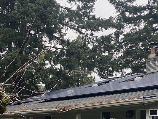 View of front solar panels