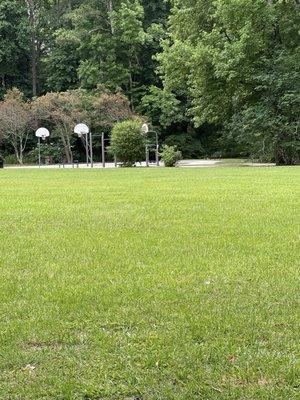 Basketball court