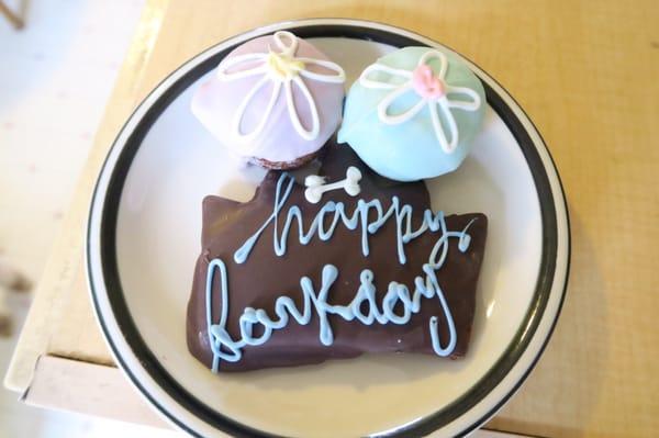 Happy Barkday treat and two pupcakes