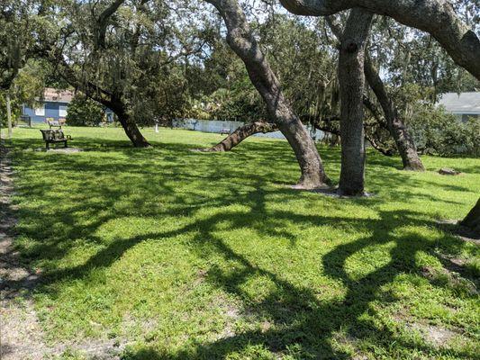 Giddens Park, Tampa